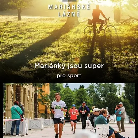 غورميه باتريوت فندق Mariánské Lázně