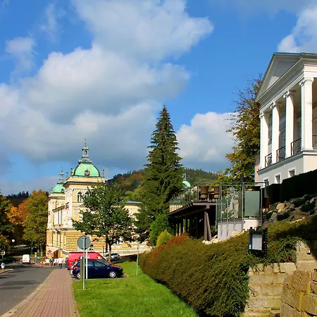 ホテル Patriot Boutique マリアーンスケー・ラーズニェ